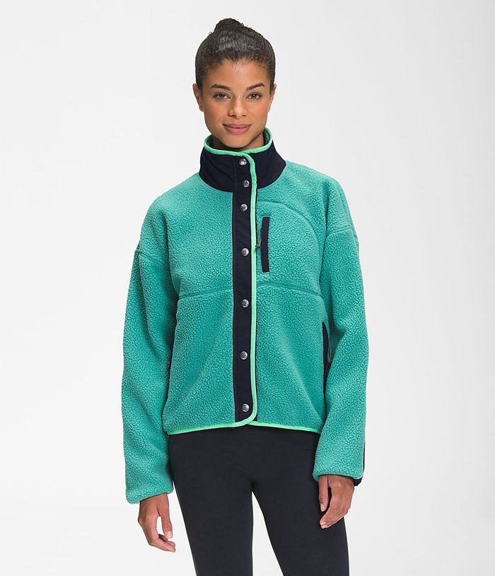 The North Face Softshell Dames Cragmont Fleece NDLG16397 - Groen